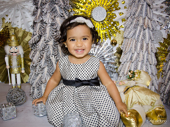 Navidad 3 2014-1716