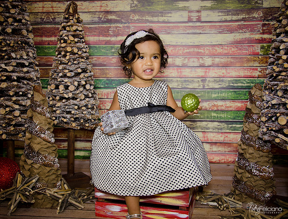 Navidad 3 2014-1742
