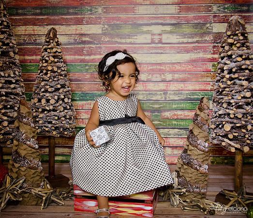 Navidad 3 2014-1728