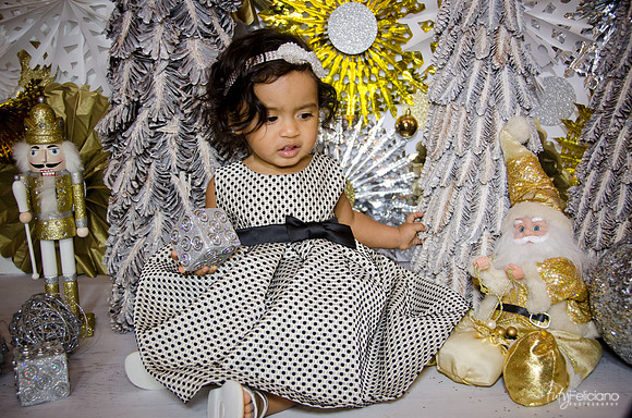 Navidad 3 2014-1663