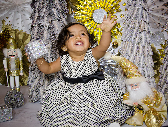Navidad 3 2014-1684