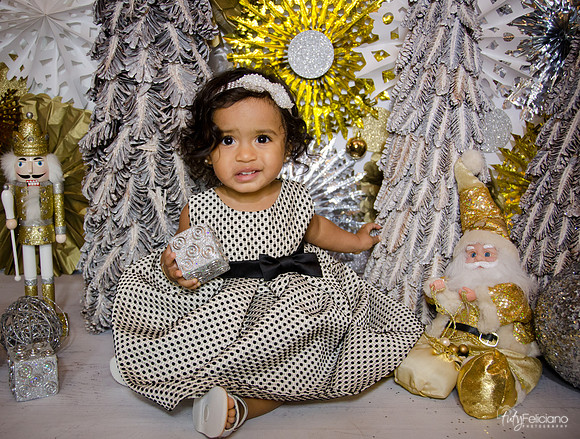 Navidad 3 2014-1647