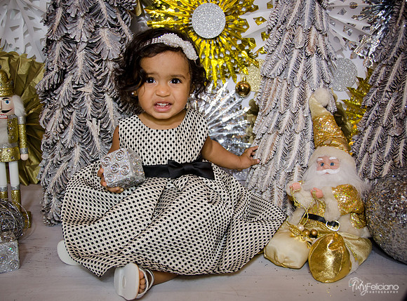 Navidad 3 2014-1657