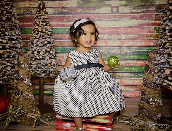 Navidad 3 2014-1743