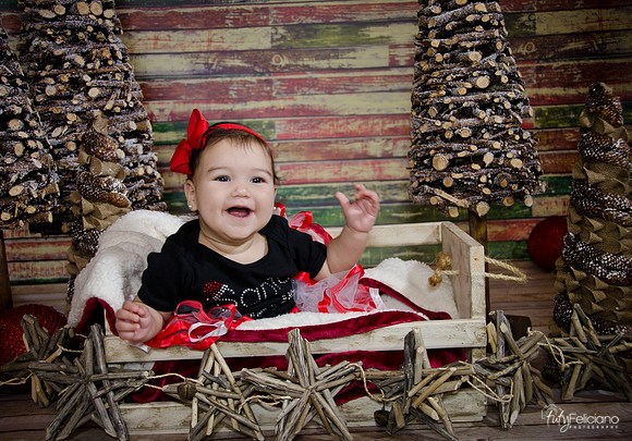 Navidad2014-4146