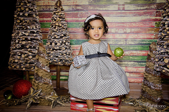 Navidad 3 2014-1740