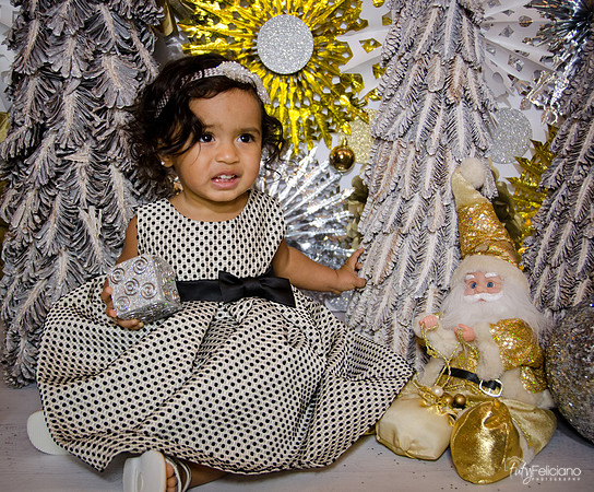 Navidad 3 2014-1659