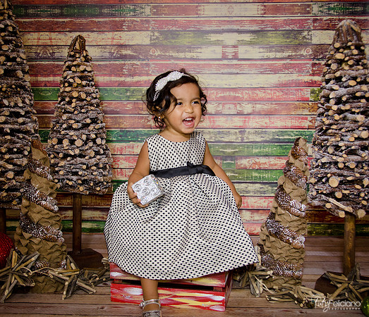 Navidad 3 2014-1727