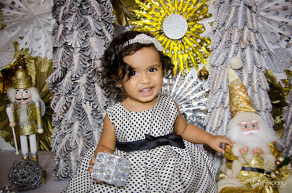 Navidad 3 2014-1706
