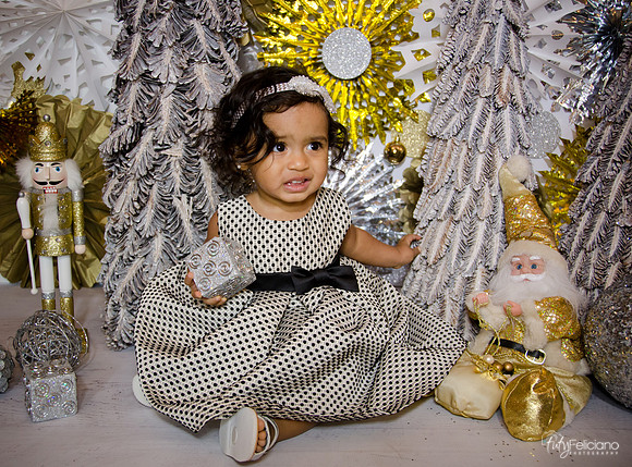 Navidad 3 2014-1651