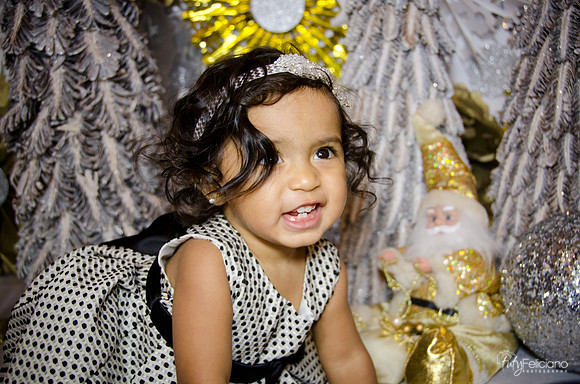 Navidad 3 2014-1671