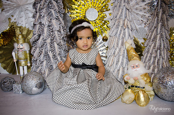 Navidad 3 2014-1605