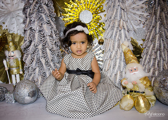 Navidad 3 2014-1613