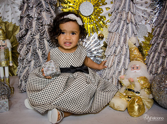 Navidad 3 2014-1656