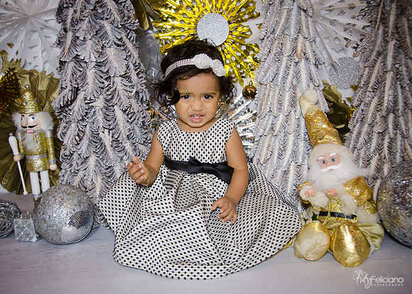 Navidad 3 2014-1616