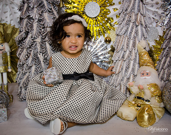 Navidad 3 2014-1658