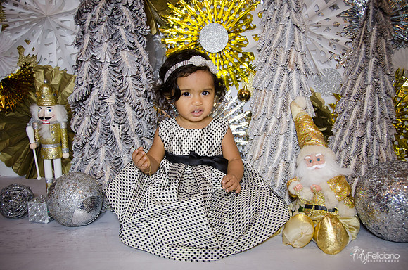 Navidad 3 2014-1606