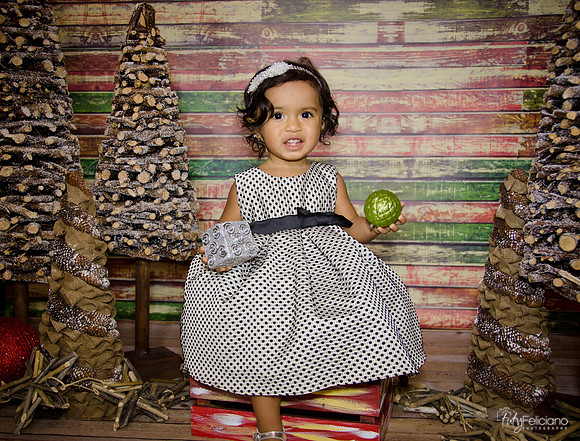 Navidad 3 2014-1741