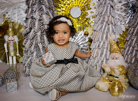 Navidad 3 2014-1648
