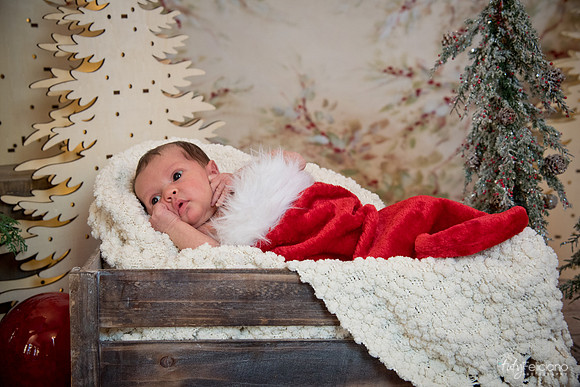 Navidad-1454