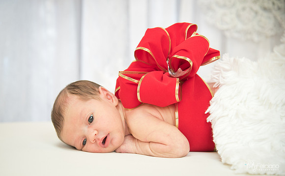 Navidad-1407