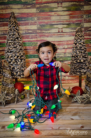 Navidad 2014-8141