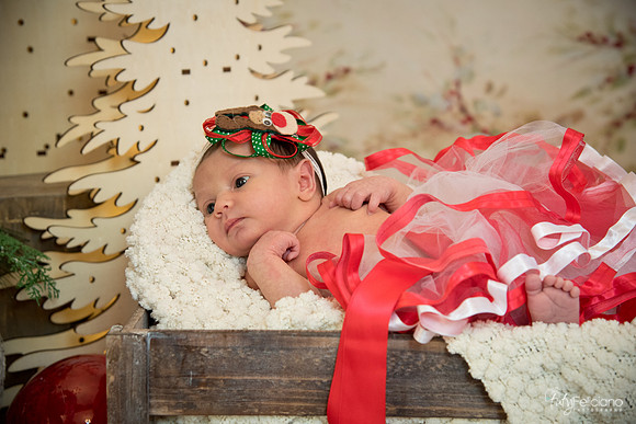 Navidad-1474