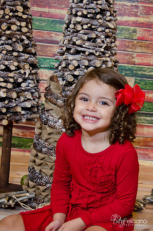 navidad 2014-1071
