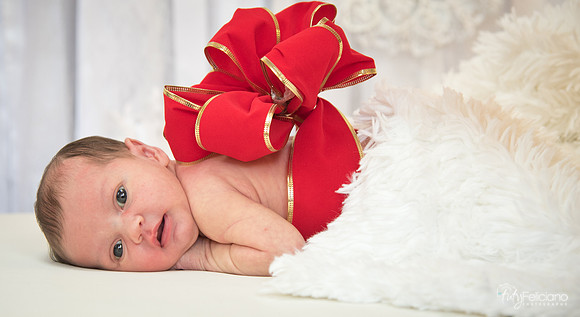 Navidad-1385