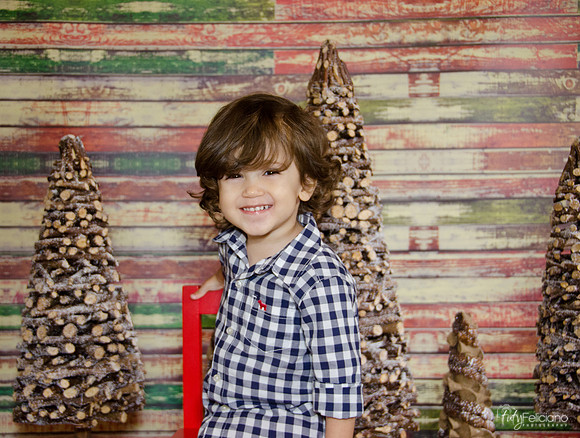 Navidad 2014-3271
