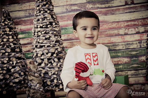 navidad 2014-8927