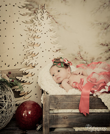 Navidad-1483