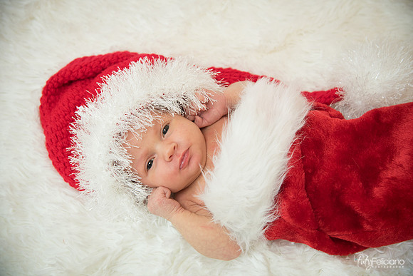 Navidad-1424