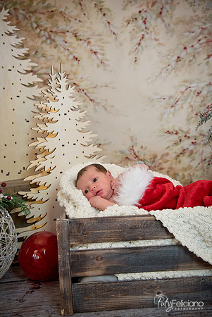 Navidad-1461