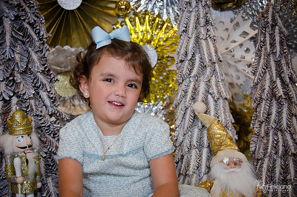 navidad 2014-9874