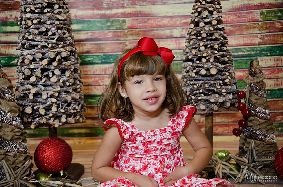 navidad 2014-11349