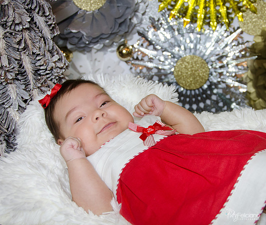 navidad 2014-1725