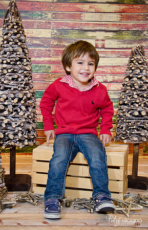 navidad 2014-1289