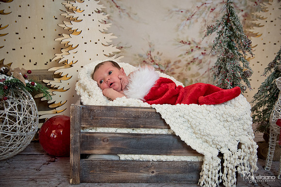 Navidad-1456