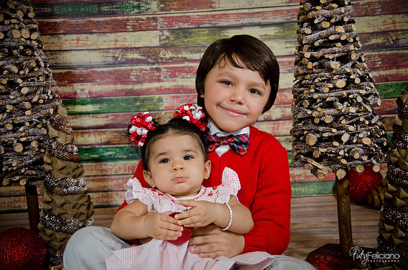 Navidad2014-4364