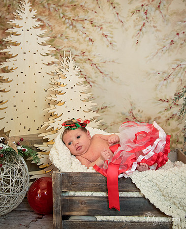 Navidad-1464