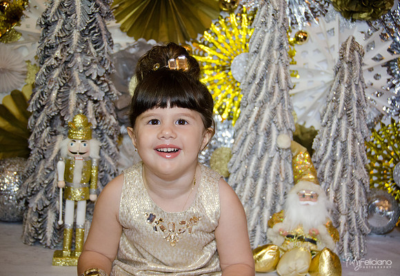 navidad 2014-2454