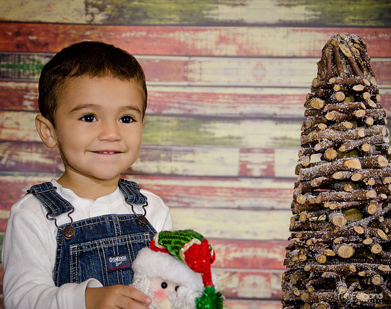 Navidad 2014-3632