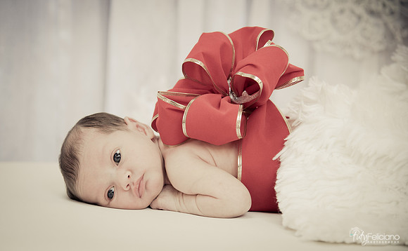 Navidad-1416