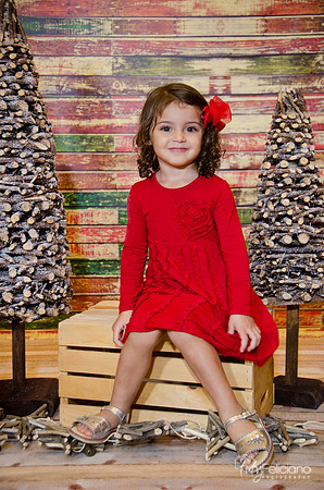 navidad 2014-1315