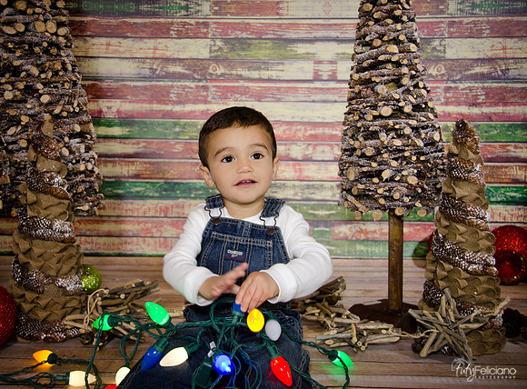 Navidad 2014-3693