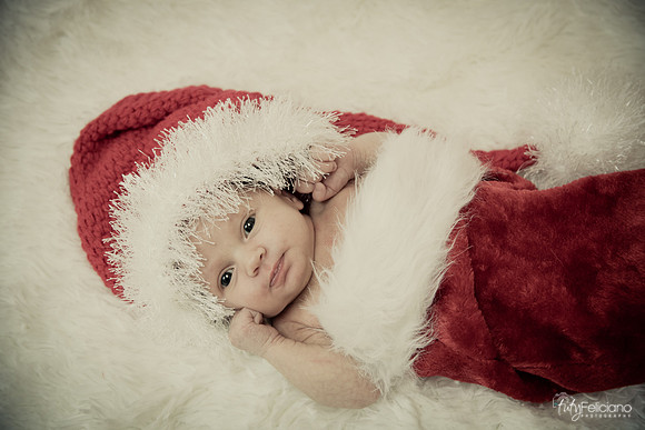 Navidad-1428