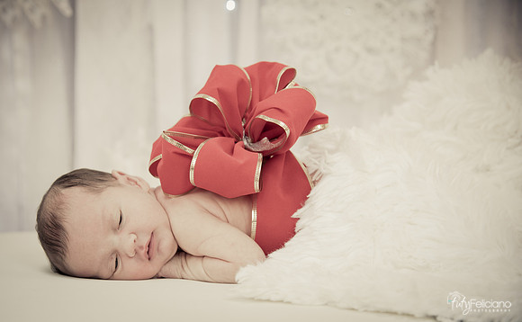 Navidad-1386