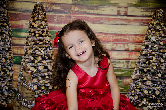 Navidad-15106-2
