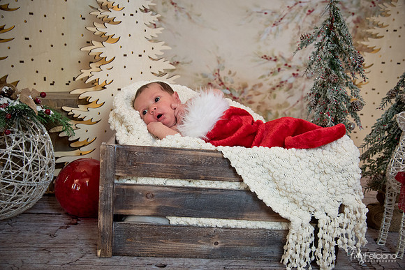 Navidad-1457